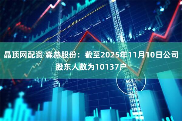 晶顶网配资 森赫股份：截至2025年11月10日公司股东人数为10137户
